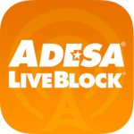 LiveBlock icon
