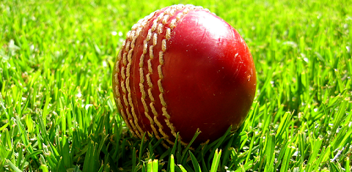 Live Cricket Match PC screenshot