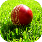 Live Cricket Match icon