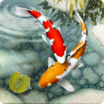 Live Fish Wallpapers - 3D Water Theme Wallpaper icon