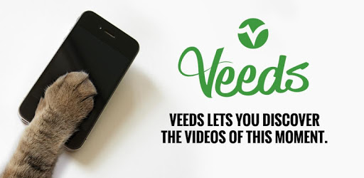 Veeds - Trending Video PC screenshot Veeds - Trending Video PC screenshot