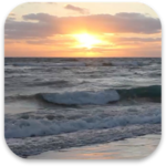 Real Beach Live Wallpaper icon
