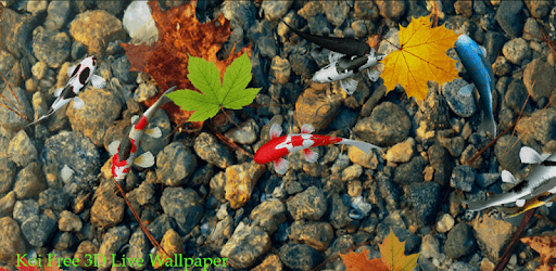 Koi Free 3D Live Wallpaper PC screenshot