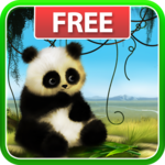 Panda Live Wallpaper for PC Panda Live Wallpaper for PC