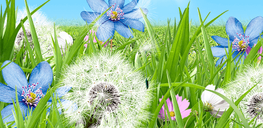 Summer Flowers Wallpaper PC screenshot