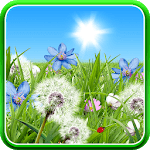 Summer Flowers Wallpaper for PC