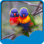 Love Birds Live Wallpapers for PC