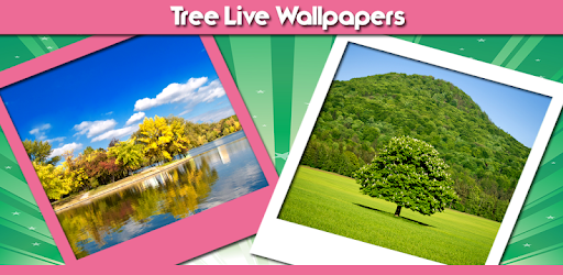 Tree Live Wallpapers PC screenshot