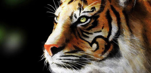 Big Cats Live Wallpapers PC screenshot
