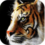Big Cats Live Wallpapers for PC