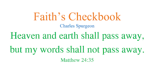 Faith's Checkbook PC screenshot