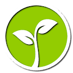 Lucky tree - plant your own tree icon