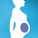 iBirth Pregnancy, Birth & Baby for PC