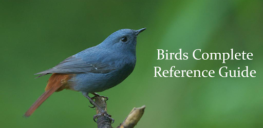 Birds Complete Reference Guide PC screenshot Birds Complete Reference Guide PC screenshot