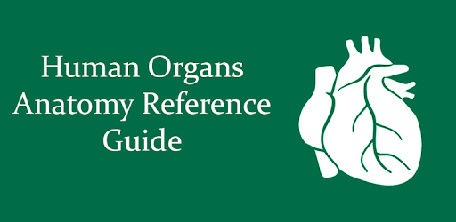Human Organs Anatomy Reference Guide PC screenshot