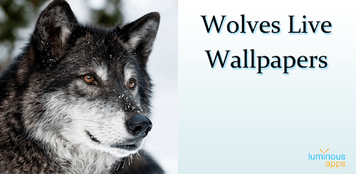 Wolves Live Wallpapers PC screenshot