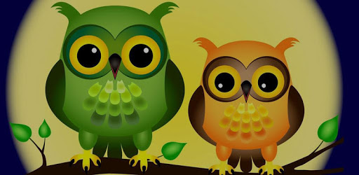 Cute Owl Theme PC screenshot