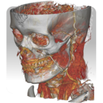 DroidRender - 3D DICOM viewer icon