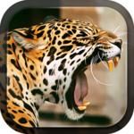Leopard Live Wallpaper icon