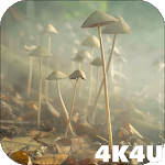 4K Mushrooms and Smoke Live Video Wallpaper for PC