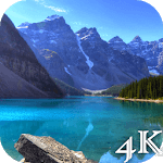 4K Live Wallpapers for PC 4K Live Wallpapers for PC