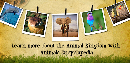 Animal Encyclopedia Complete Reference Guide Free PC screenshot