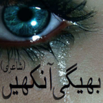 Bheegi Aankhen - Shayari for PC Bheegi Aankhen - Shayari for PC