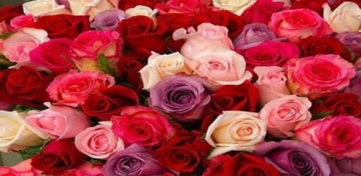 Beautiful Flowers Bouquet 2018 PC screenshot Beautiful Flowers Bouquet 2018 PC screenshot