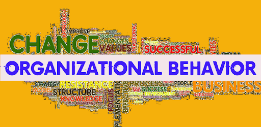 Learn Organizational Behavior PC screenshot