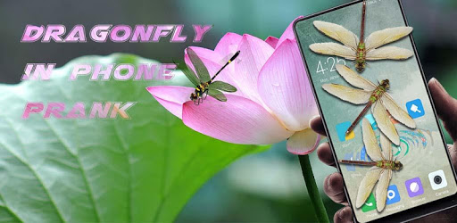 Dragonfly in phone prank PC screenshot Dragonfly in phone prank PC screenshot