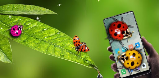Ladybug in phone prank PC screenshot Ladybug in phone prank PC screenshot