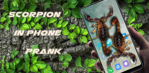 Scorpion in phone prank PC screenshot