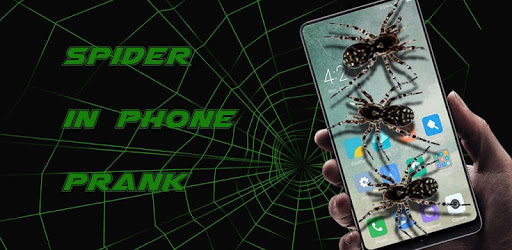 Spider in phone prank PC screenshot