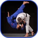 Judo in brief icon
