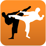 Karate in brief icon