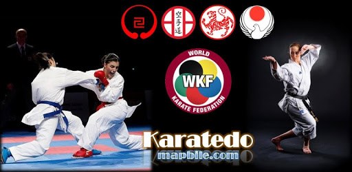 Karate WKF PC screenshot