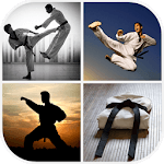Martial Arts Wallpaper for PC Martial Arts Wallpaper for PC