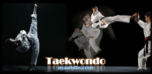 Taekwondo WTF PC screenshot