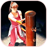 Wing Chun Kung Fu icon