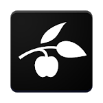 SDU Maps icon