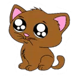 Pet Care for PC Pet Care for PC