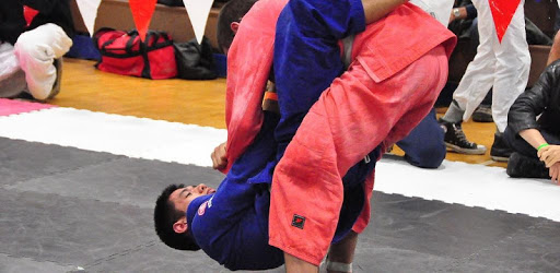 Brazilian Jiu Jitsu PC screenshot