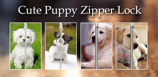 Cute Puppy Zipper Lock PC screenshot