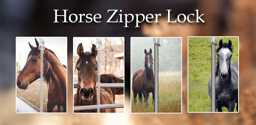 Horse Zipper Lock PC screenshot