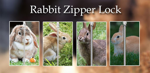 Rabbit Zipper Lock PC screenshot Rabbit Zipper Lock PC screenshot