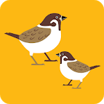 findhome icon