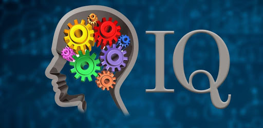 IQ Test for Children and Adults PC screenshot