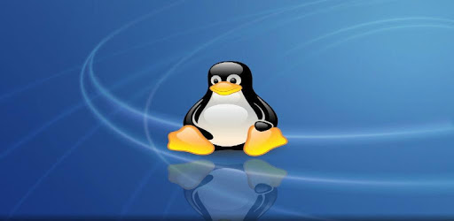 Advance Linux tutorial PC screenshot