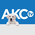 AKC.TV for PC AKC.TV for PC