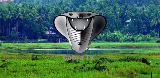 Cobra TV PC screenshot